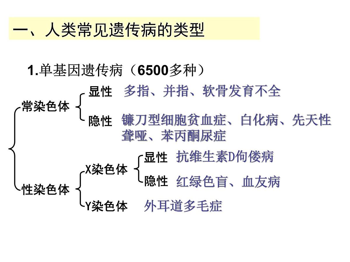 人教版 (新课标)高中生物必修2 5-3《人类遗传病》课件第4页