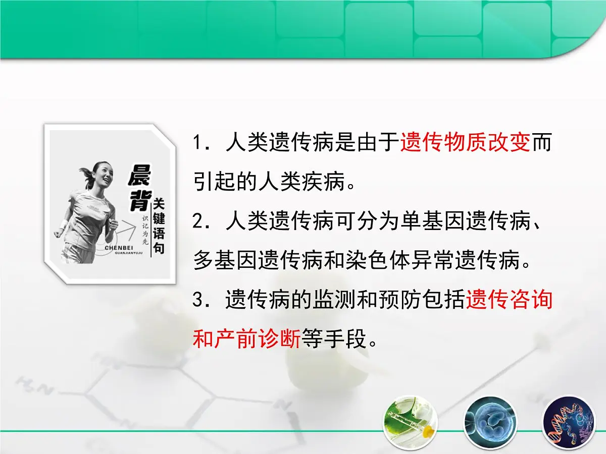人教版 (新课标)高中生物必修2 5-3《人类遗传病》复习课件第3页