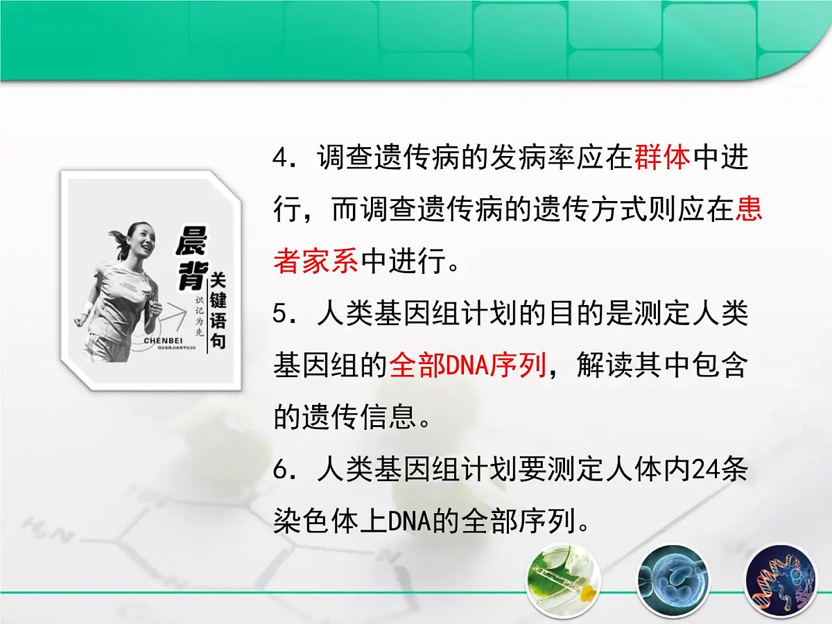 人教版 (新课标)高中生物必修2 5-3《人类遗传病》复习课件第4页