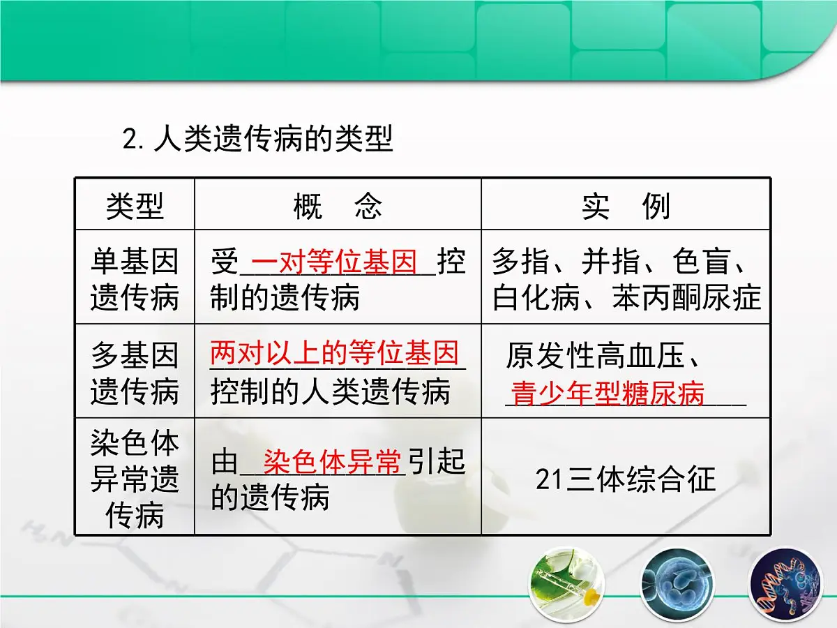 人教版 (新课标)高中生物必修2 5-3《人类遗传病》复习课件第6页