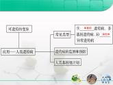 人教版 (新課標(biāo))高中生物必修2 第五章《基因突變及其他變異》復(fù)習(xí)課件