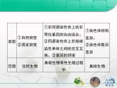 人教版 (新課標(biāo))高中生物必修2 第五章《基因突變及其他變異》復(fù)習(xí)課件