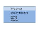 人教版 (新課標(biāo))高中生物必修2 6-1《雜交育種和誘變育種》課件