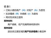 人教版 (新課標(biāo))高中生物必修2 6-1《雜交育種和誘變育種》課件