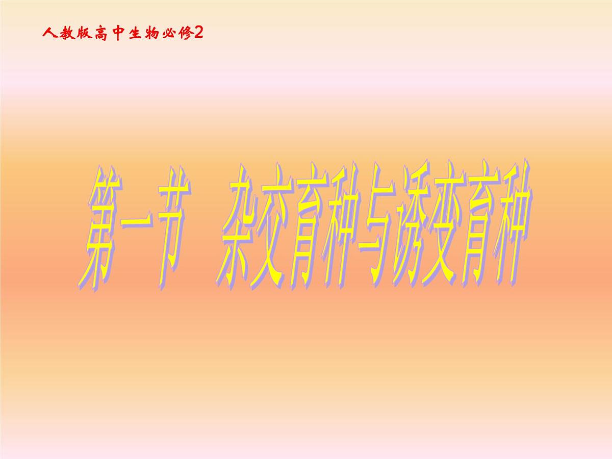 人教版 (新课标)高中生物必修2 6-1《杂交育种和诱变育种》课件第1页