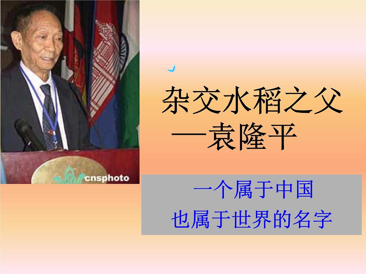 人教版 (新课标)高中生物必修2 6-1《杂交育种和诱变育种》课件第5页