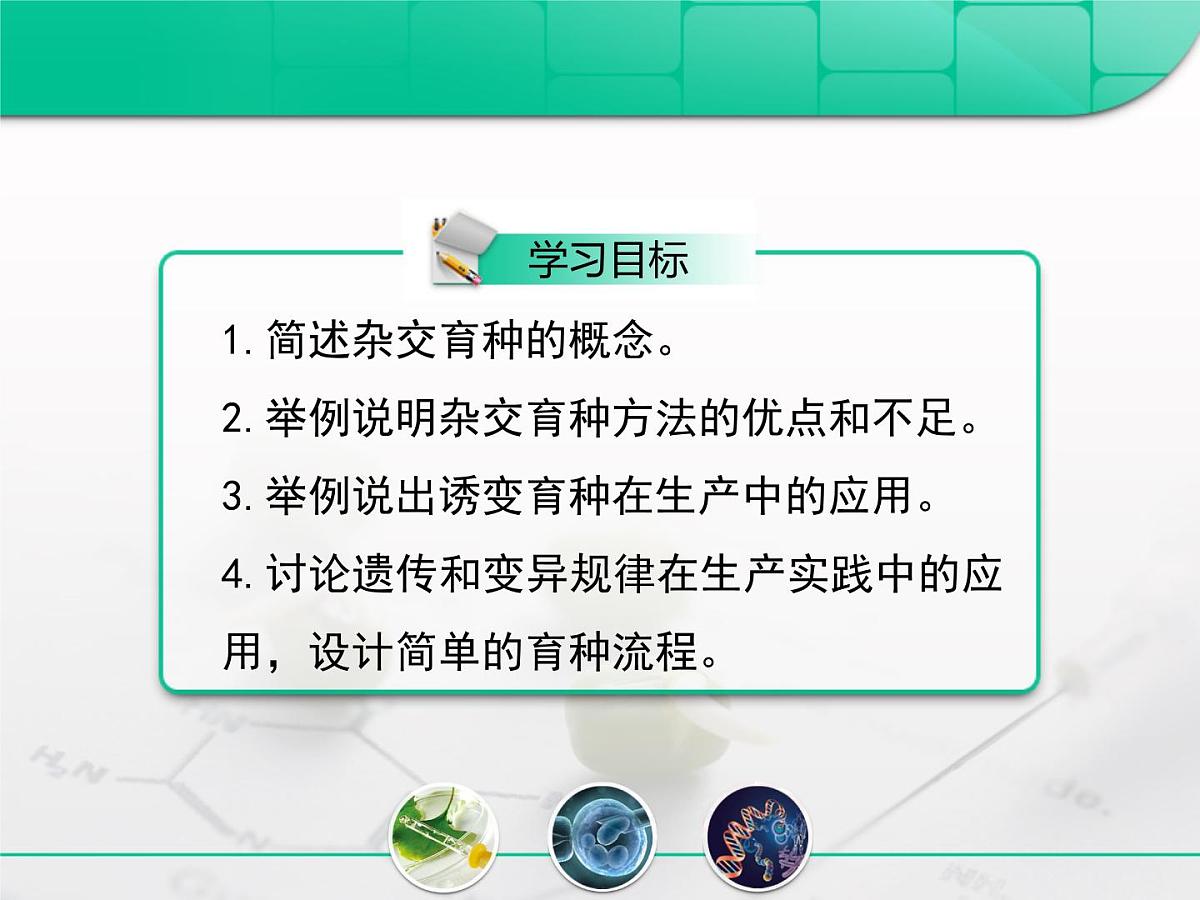 人教版 (新课标)高中生物必修2 6-1《杂交育种与诱变育种》复习课件第2页