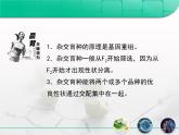 人教版 (新課標(biāo))高中生物必修2 6-1《雜交育種與誘變育種》復(fù)習(xí)課件