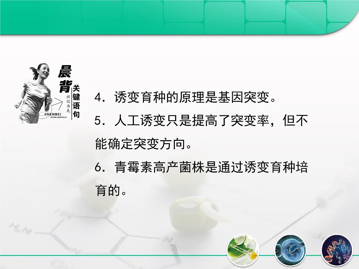 人教版 (新课标)高中生物必修2 6-1《杂交育种与诱变育种》复习课件第4页