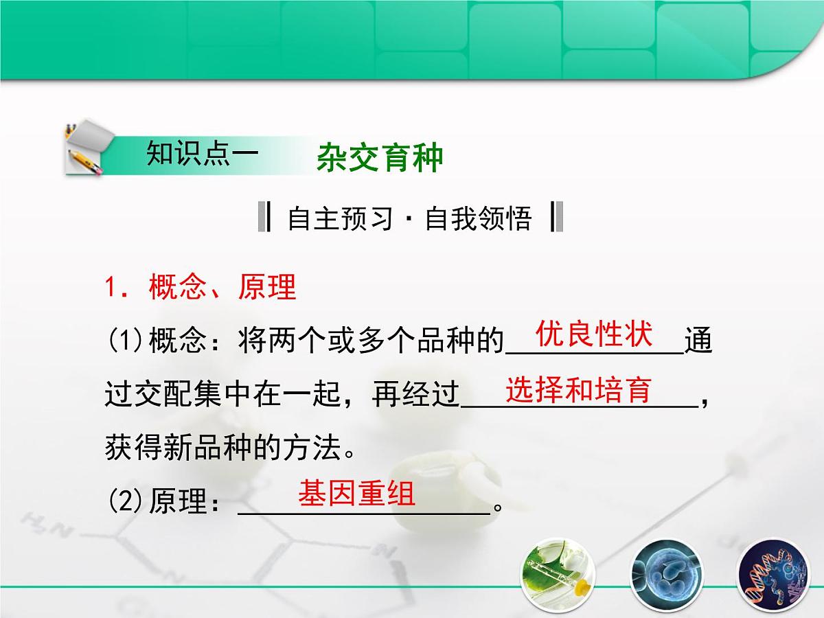 人教版 (新课标)高中生物必修2 6-1《杂交育种与诱变育种》复习课件第5页