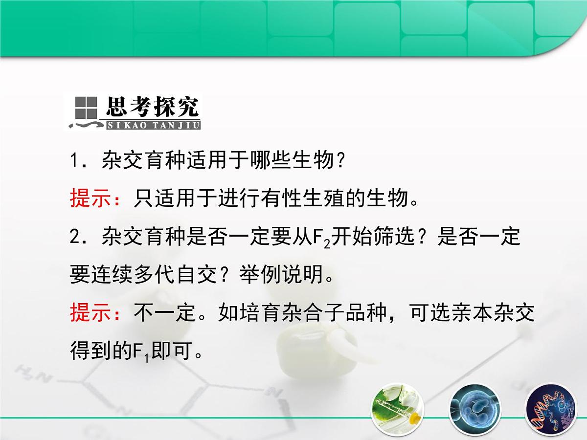 人教版 (新课标)高中生物必修2 6-1《杂交育种与诱变育种》复习课件第6页