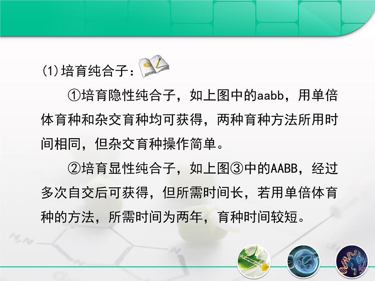 人教版 (新课标)高中生物必修2 6-1《杂交育种与诱变育种》复习课件第8页
