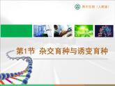 人教版 (新課標(biāo))高中生物必修2 6-1《雜交育種與誘變育種》課件