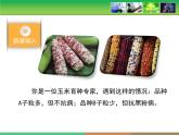 人教版 (新課標(biāo))高中生物必修2 6-1《雜交育種與誘變育種》課件