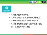 人教版 (新課標(biāo))高中生物必修2 6-1《雜交育種與誘變育種》課件