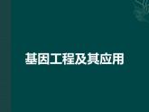 人教版 (新課標)高中生物必修2 6-2《基因工程及其應用》課件