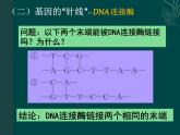 人教版 (新課標)高中生物必修2 6-2《基因工程及其應用》課件