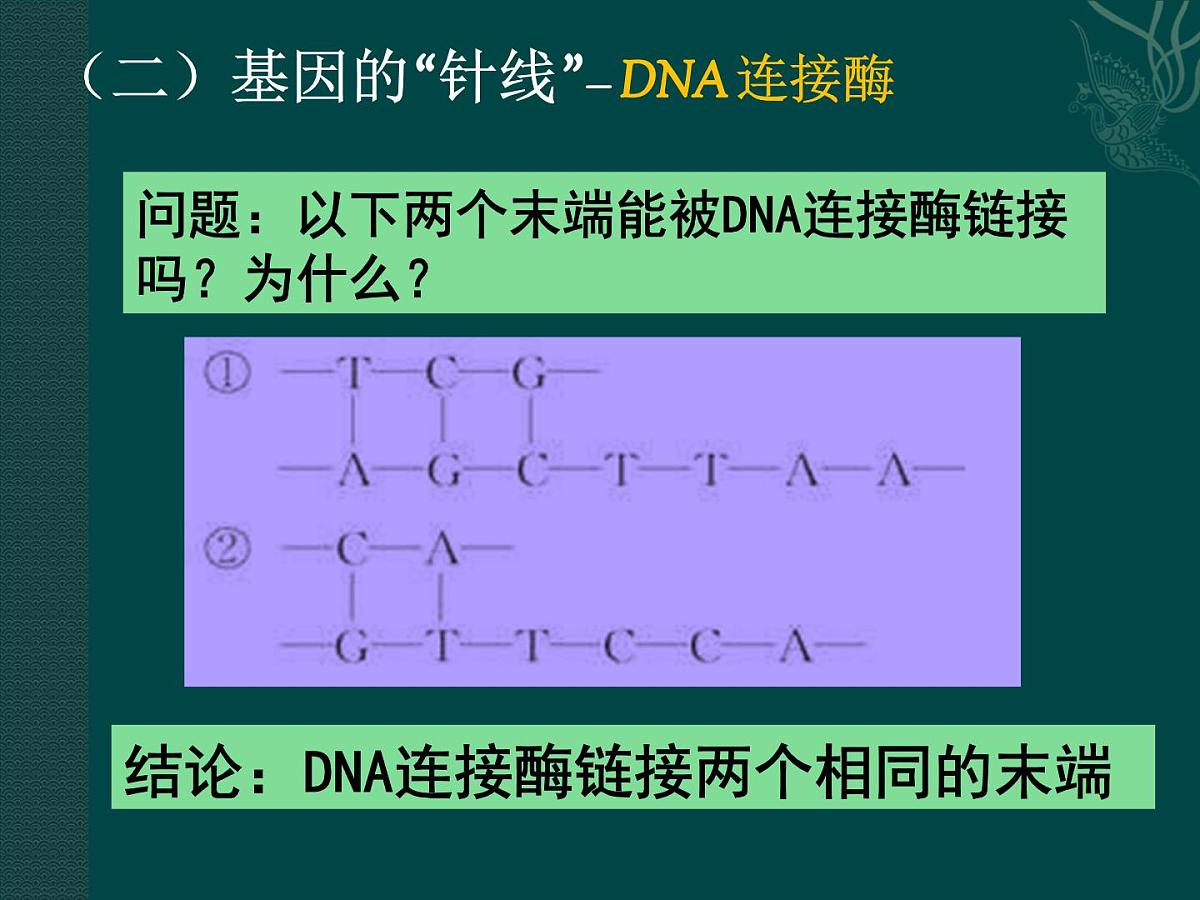 人教版 (新课标)高中生物必修2 6-2《基因工程及其应用》课件第5页