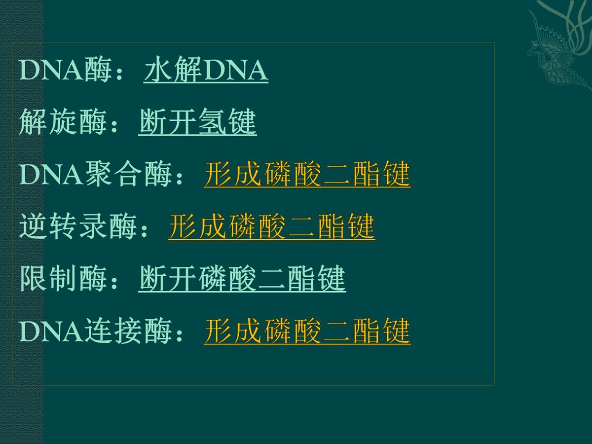 人教版 (新课标)高中生物必修2 6-2《基因工程及其应用》课件第6页