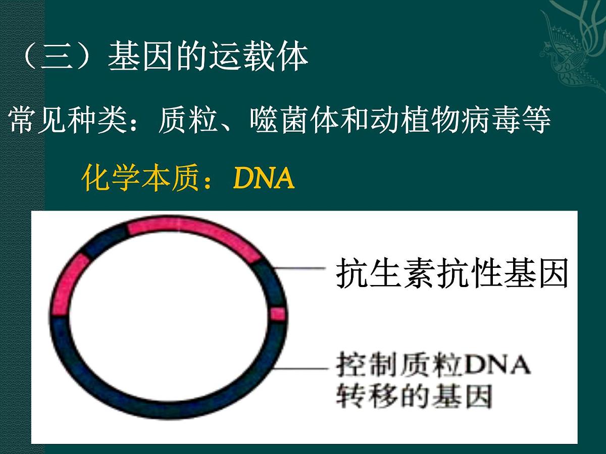 人教版 (新课标)高中生物必修2 6-2《基因工程及其应用》课件第7页