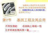 人教版 (新課標)高中生物必修2 6-2《基因工程及其應用》課件