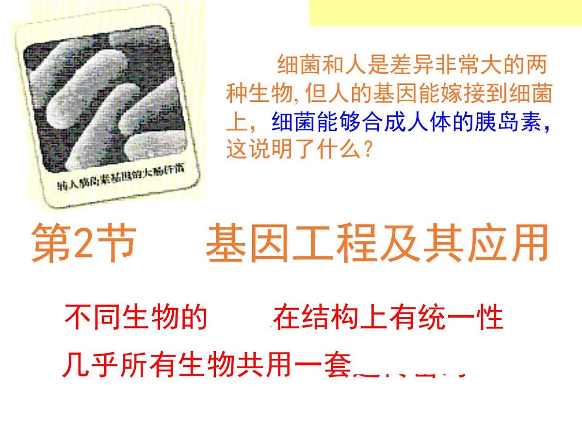 人教版 (新课标)高中生物必修2 6-2《基因工程及其应用》课件第1页