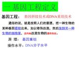 人教版 (新課標)高中生物必修2 6-2《基因工程及其應用》課件