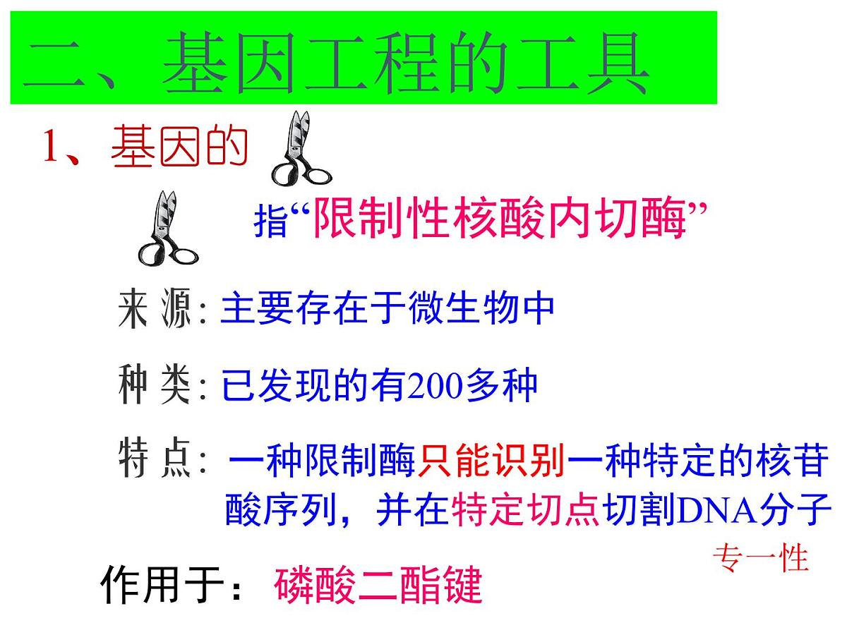 人教版 (新课标)高中生物必修2 6-2《基因工程及其应用》课件第3页