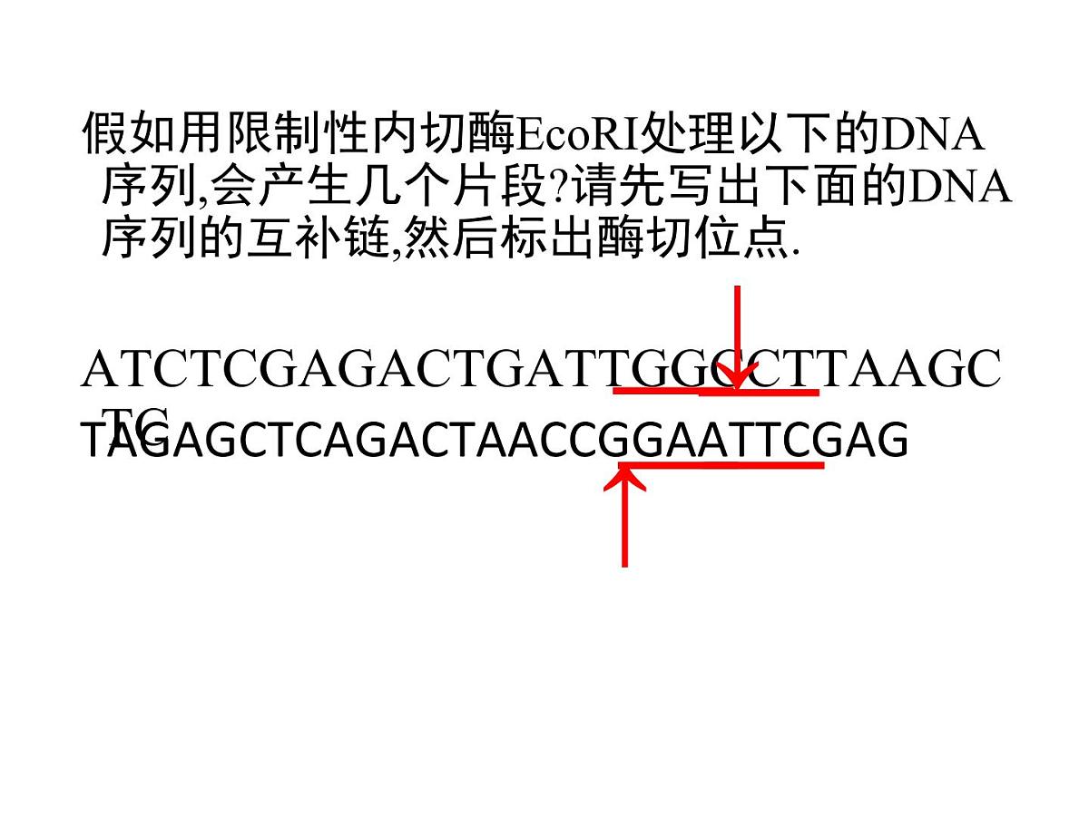 人教版 (新课标)高中生物必修2 6-2《基因工程及其应用》课件第5页
