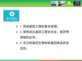 人教版 (新課標)高中生物必修2 6-2《基因工程及其應用》課件