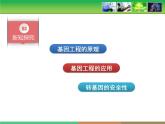 人教版 (新課標)高中生物必修2 6-2《基因工程及其應用》課件