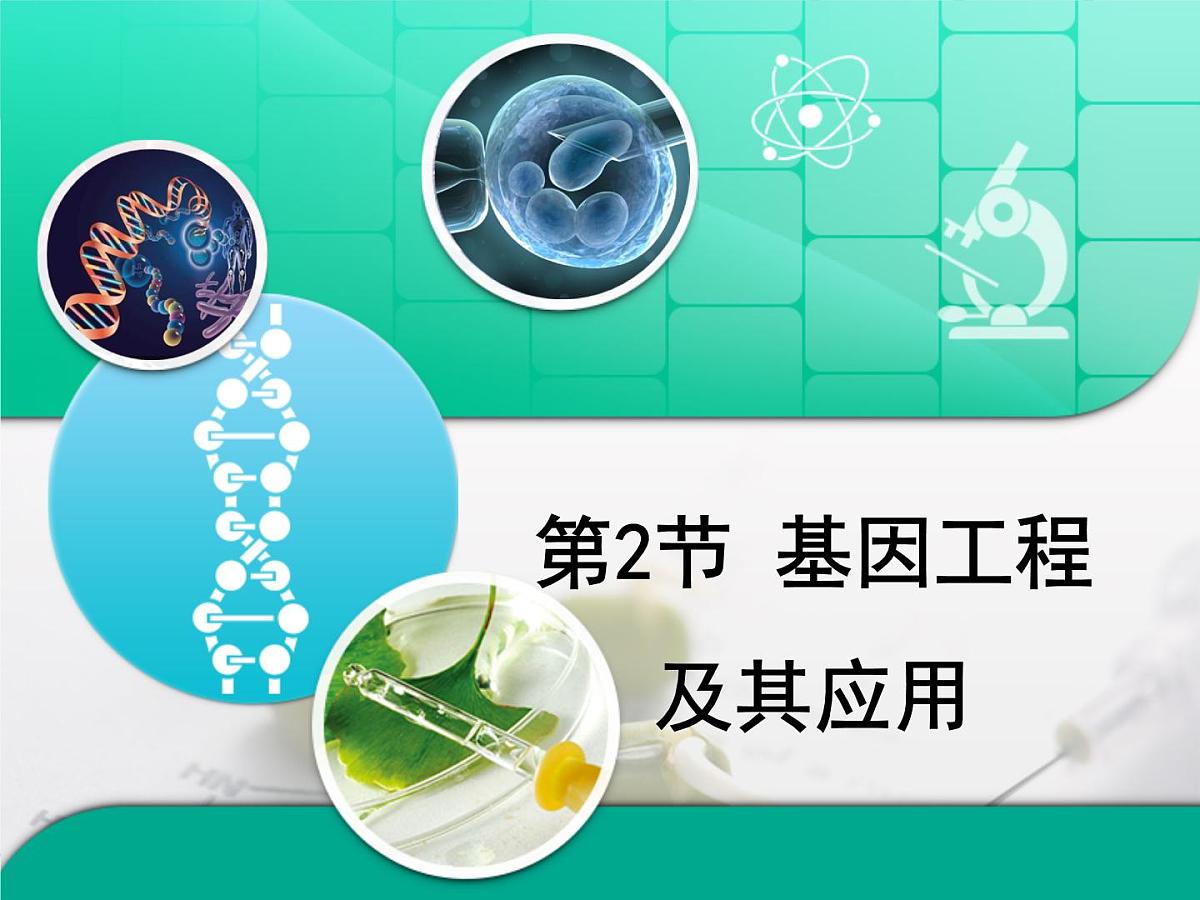 人教版 (新课标)高中生物必修2 6-2《基因工程及其应用》复习课件第1页