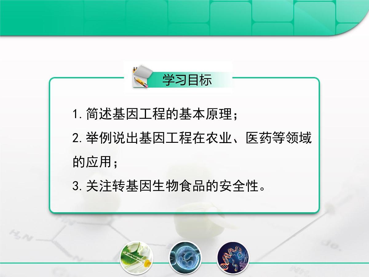 人教版 (新课标)高中生物必修2 6-2《基因工程及其应用》复习课件第2页