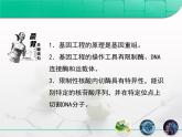 人教版 (新課標)高中生物必修2 6-2《基因工程及其應用》復習課件
