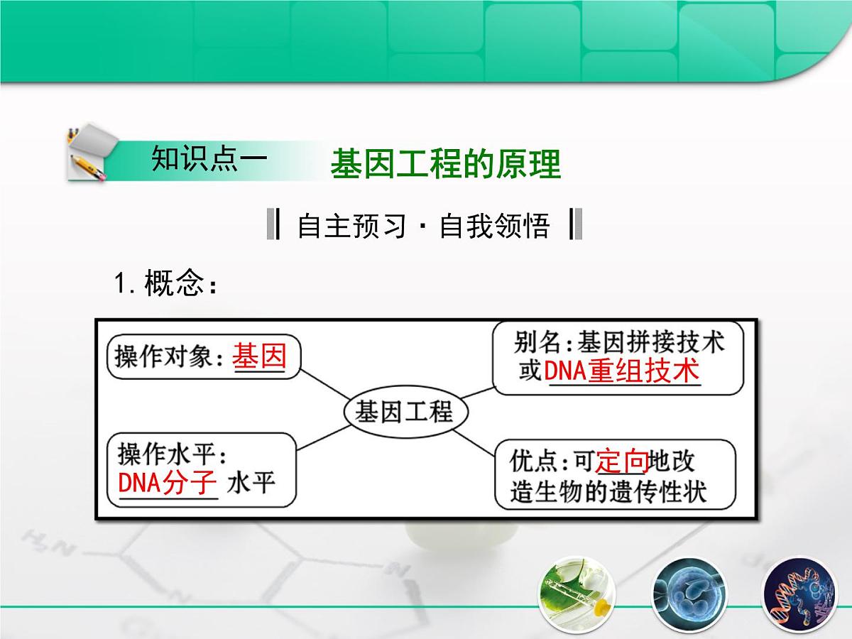人教版 (新课标)高中生物必修2 6-2《基因工程及其应用》复习课件第5页