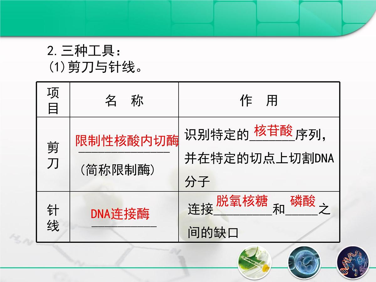 人教版 (新课标)高中生物必修2 6-2《基因工程及其应用》复习课件第6页