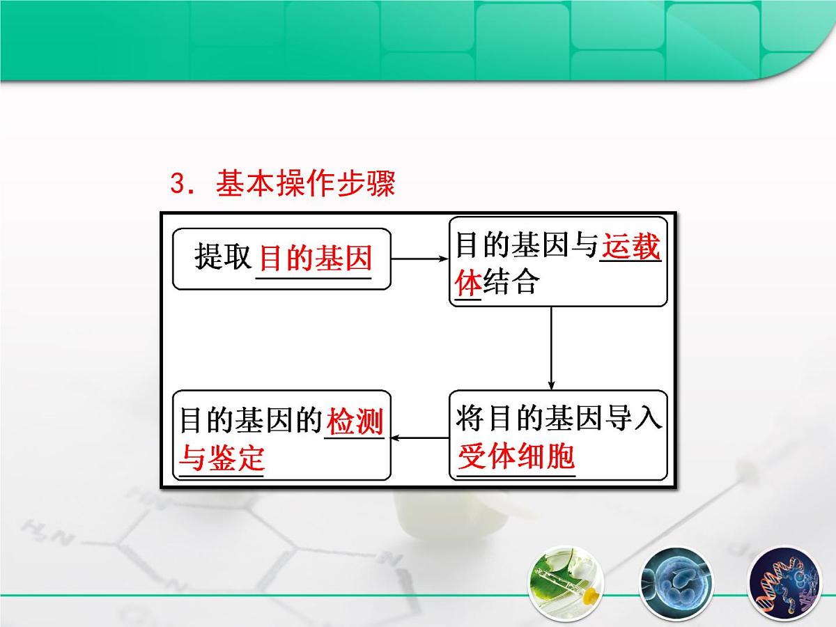 人教版 (新课标)高中生物必修2 6-2《基因工程及其应用》复习课件第8页