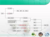 人教版 (新課標(biāo))高中生物必修2 第六章《從雜交育種到基因工程》復(fù)習(xí)課件
