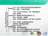 人教版 (新課標(biāo))高中生物必修2 第六章《從雜交育種到基因工程》復(fù)習(xí)課件