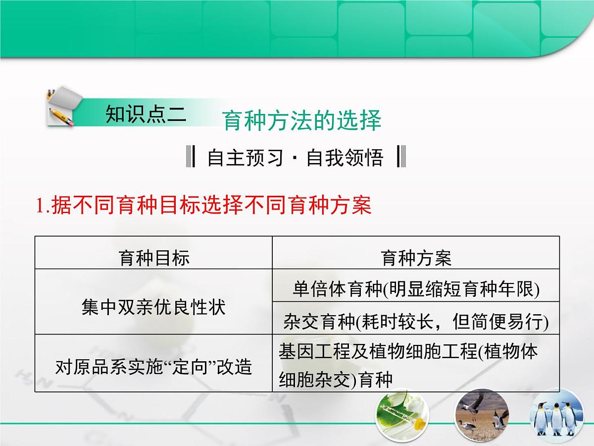 人教版 (新课标)高中生物必修2 第六章《从杂交育种到基因工程》复习课件第7页