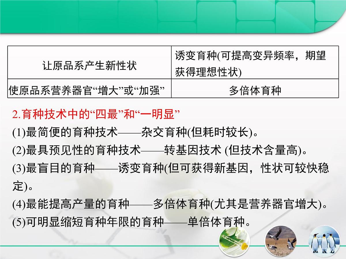 人教版 (新课标)高中生物必修2 第六章《从杂交育种到基因工程》复习课件第8页