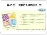 人教版 (新課標(biāo))高中生物必修2 7-1《現(xiàn)代生物進(jìn)化理論的由來》課件