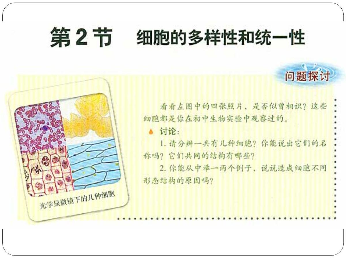 人教版 (新课标)高中生物必修2 7-1《现代生物进化理论的由来》课件第2页