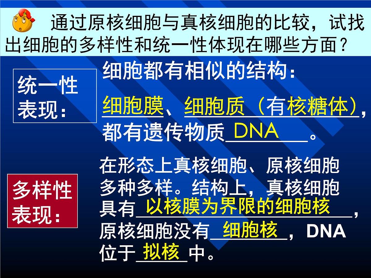 人教版 (新课标)高中生物必修2 7-1《现代生物进化理论的由来》课件第3页