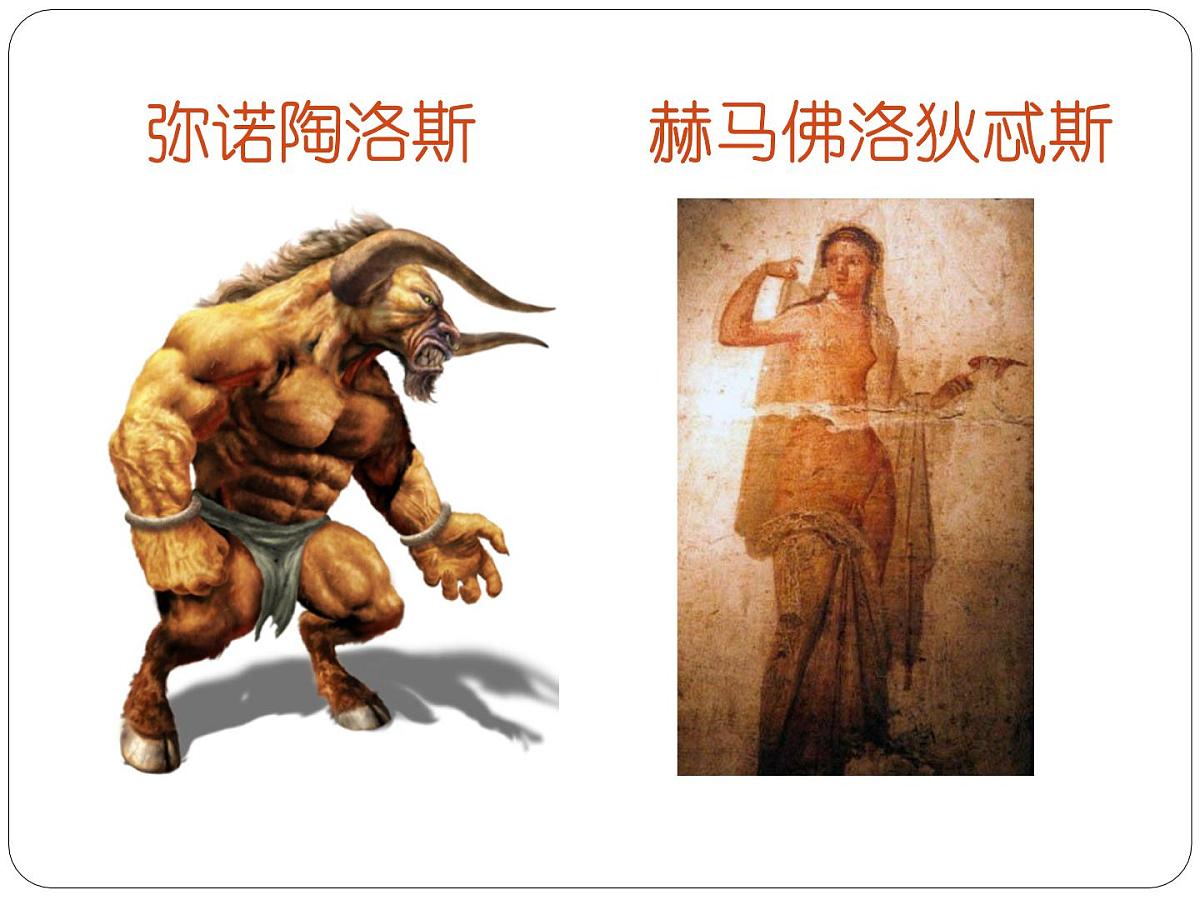 人教版 (新课标)高中生物必修2 7-1《现代生物进化理论的由来》课件第6页