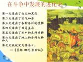 人教版 (新課標(biāo))高中生物必修2 7-1《現(xiàn)代生物進(jìn)化理論的由來》課件