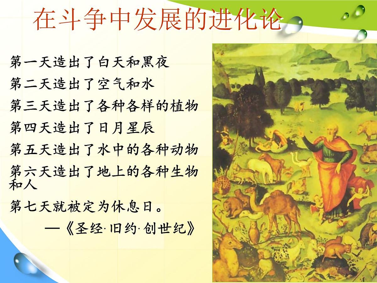 人教版 (新课标)高中生物必修2 7-1《现代生物进化理论的由来》课件第3页