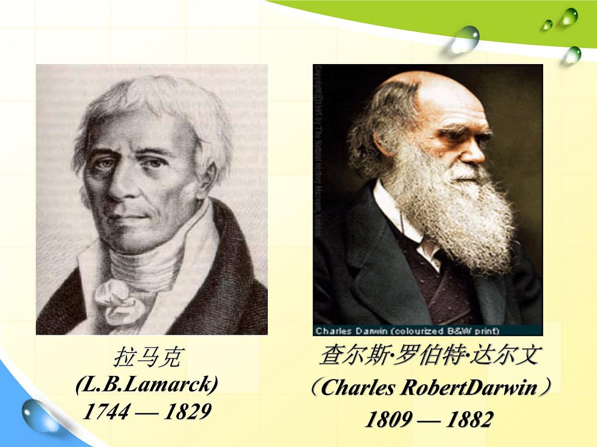 人教版 (新课标)高中生物必修2 7-1《现代生物进化理论的由来》课件第6页