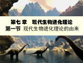 人教版 (新課標(biāo))高中生物必修2 7-1《現(xiàn)代生物進(jìn)化理論的由來》課件