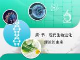 人教版 (新課標(biāo))高中生物必修2 7-1《現(xiàn)代生物進(jìn)化理論的由來》復(fù)習(xí)課件